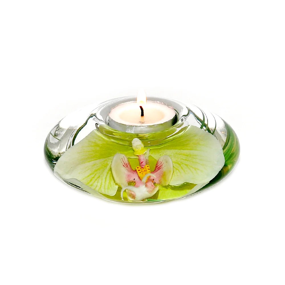 Green Phalaenopsis T-Light Disk