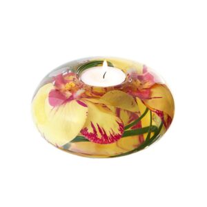 Yellow/Fuchsia Phalaenopsis T-Light Medium