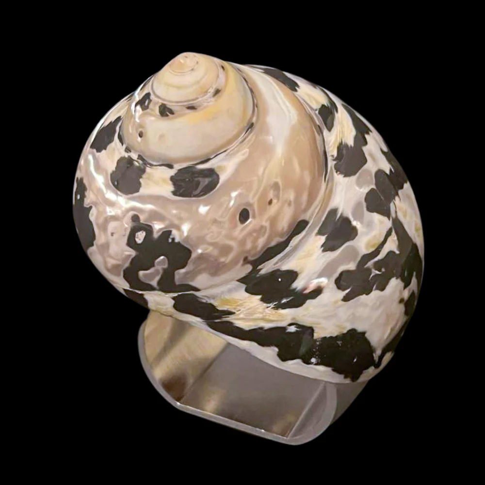 Isabella Adams Large Black Pica Turbo Seashell Napkin Ring